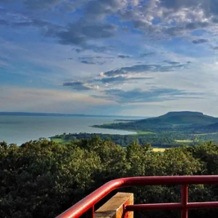 In - Balaton 19622 Holiday home *