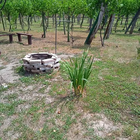 In - Balaton 19622 *