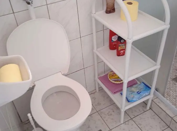 In - Balaton 19622 Revfulop